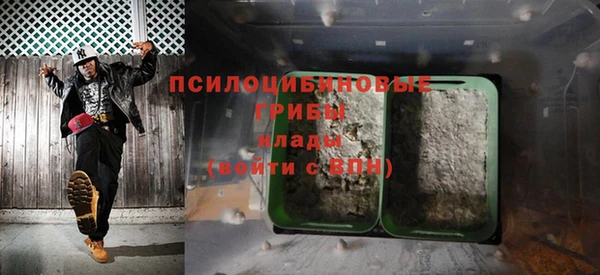 сатива Бугульма