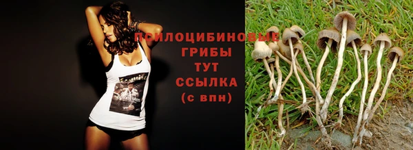 марки lsd Верхний Тагил