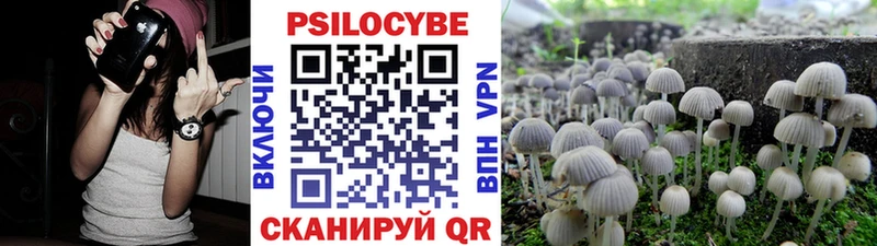 Галлюциногенные грибы Cubensis  Валдай 